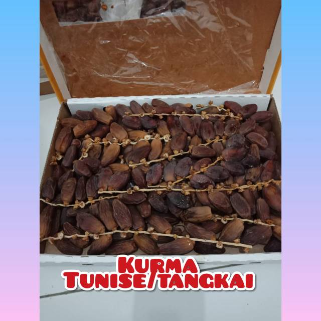 

Kurma tunisia