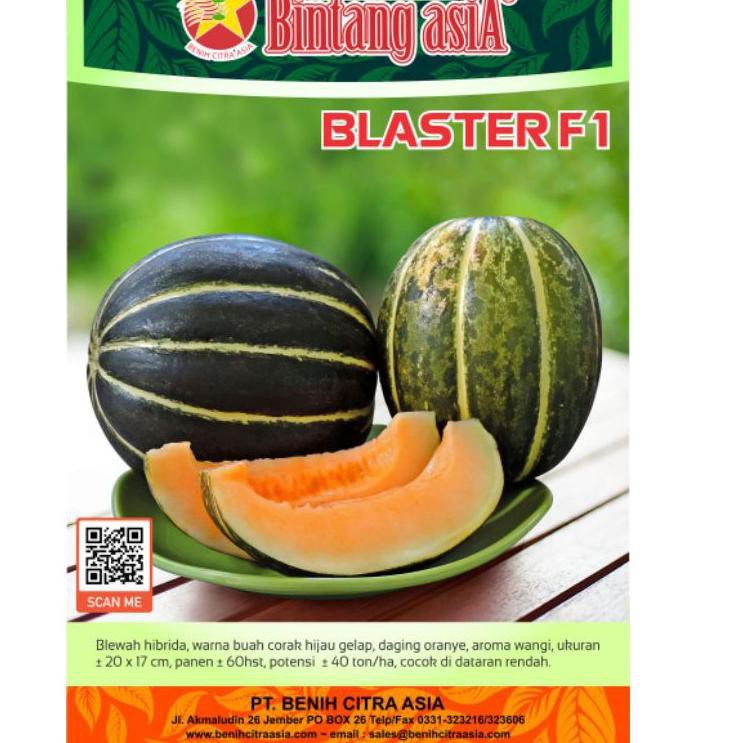 COD Benih Blewah Blaster F1 15gr