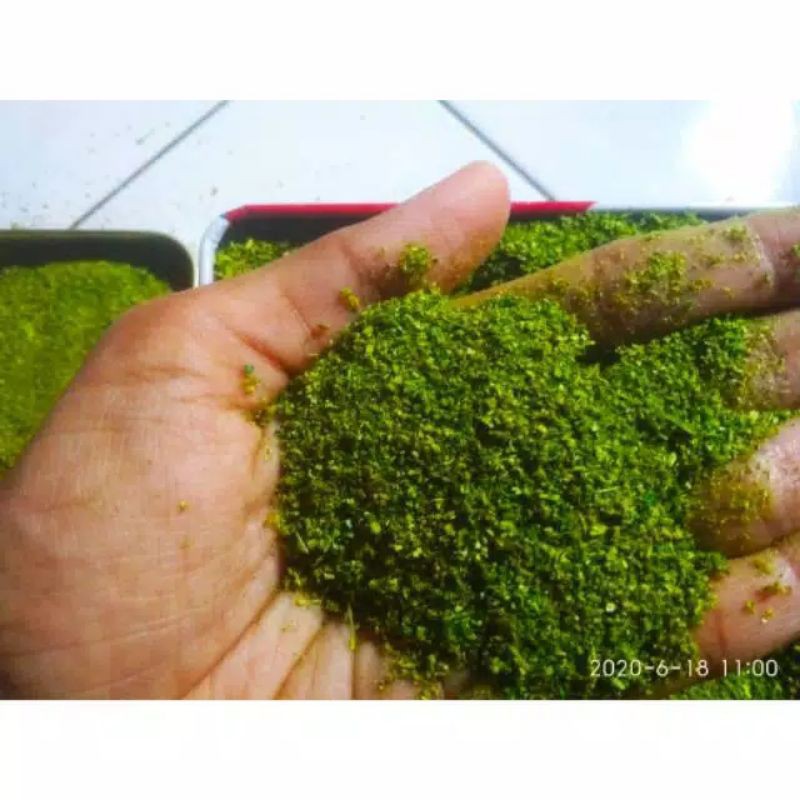 lumut tabur/lumut bunga/bahan maket/rumput tabur/rumput bunga