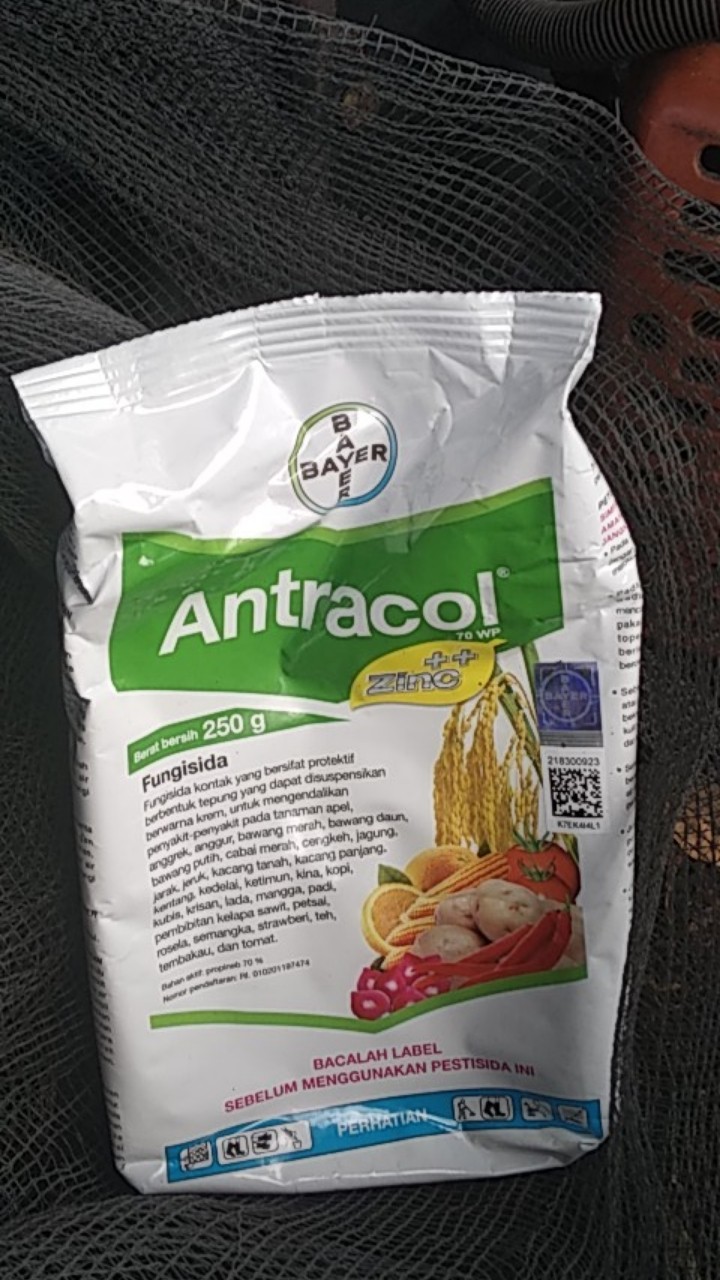 (cod) Fungisida Antracol 70 Wp Kemasan 250 Gram