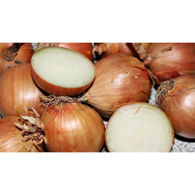 Bawang bombay