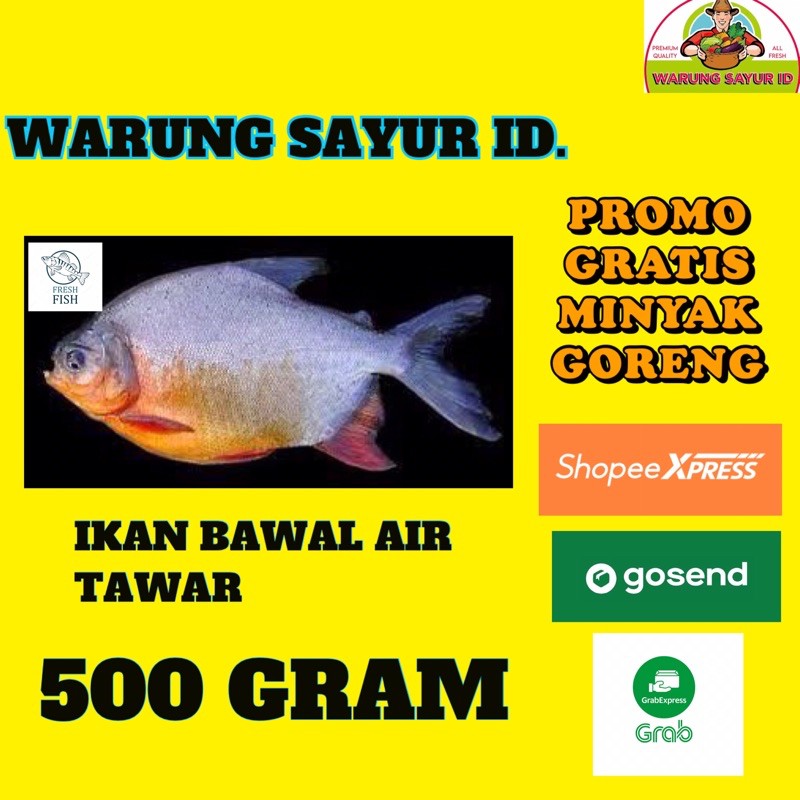 

IKAN BAWAL SEGAR 500 GRAM | IKAN SEGAR | IKAN ONLINE