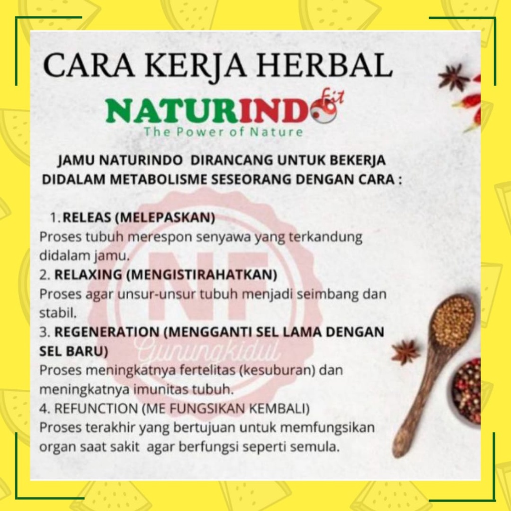 Obat Kram Perut Herbal Gangguan Hormon Sakit Perut Bagian Bawah