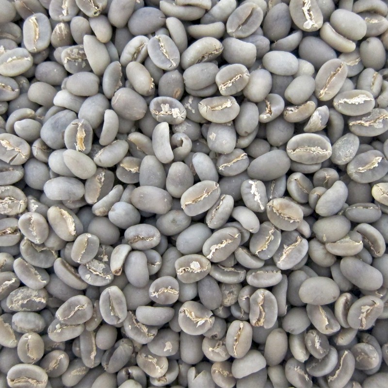 Kopi Arabika TORAJA Greenbean Coffee Harga Per Kg