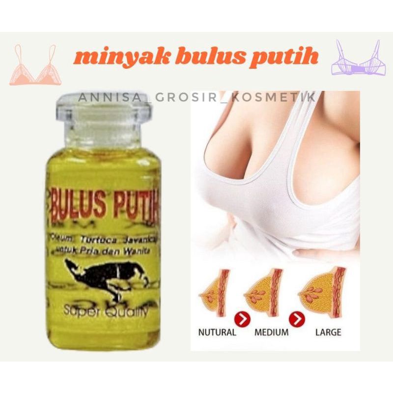 PROMO MURAH [BISA COD] Minyak Bulus Putih Herbal Original 100% Perbesar Payudara  &amp; Mencerahkan