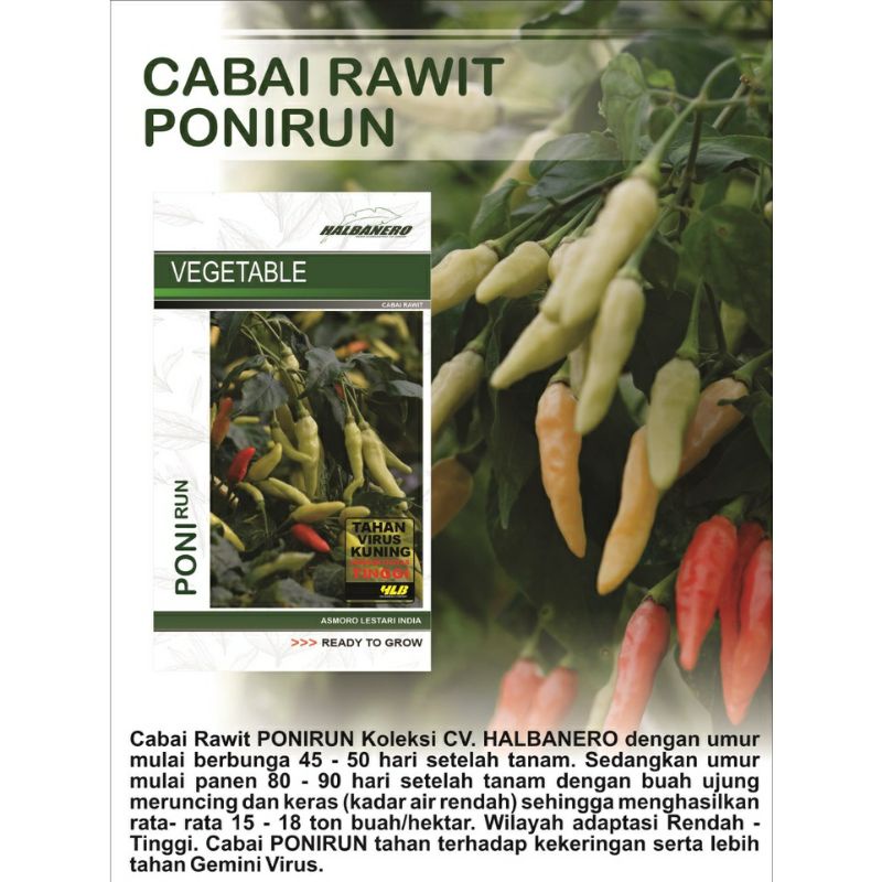 Bibit Cabe Rawit PONIRUN Isi 10 Gram Benih Cabe Rawit Unggul Bibit Cabai Rawit Benih Cabai Rawit