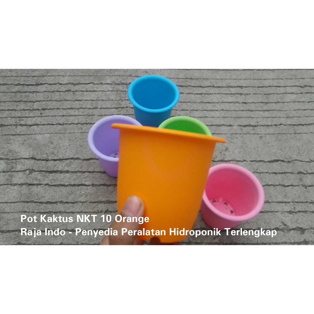 Pot Kaktus Nkt 10 Biru Orange Hijau Kuning Dll Pot Plastik Hijau Bibit Kaktus Orange