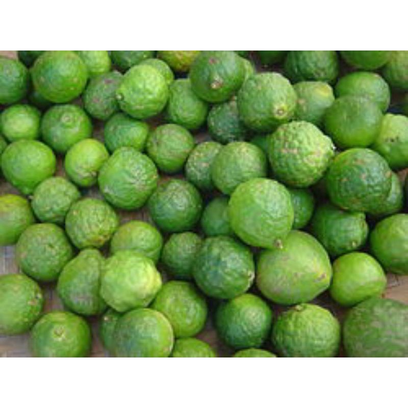 

jeruk purut/jeruk sambal/jeruk pecel