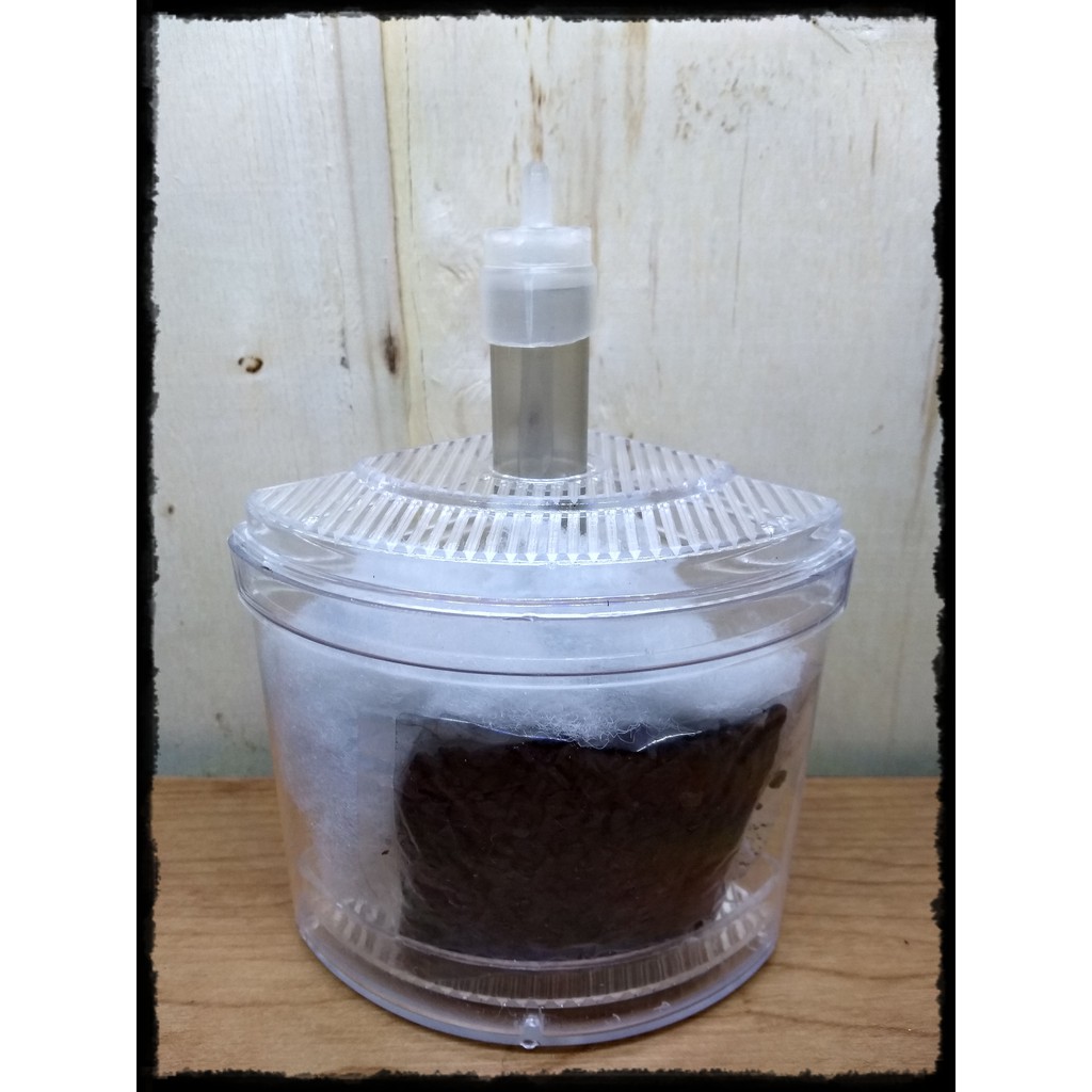 Multi Corner filter pojok medium aquarium aquascape murah