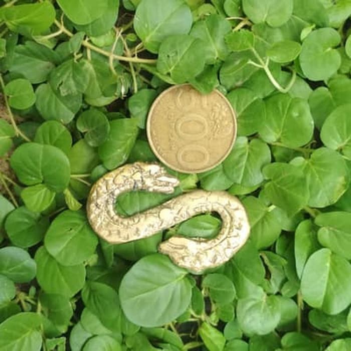 

Naga Kembar Kuningan