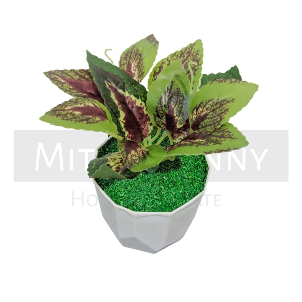 TANAMAN BUNGA ARTIFICIAL BUNGA HIAS DEKORASI HIASAN RUMAH BUNGA PLASTIK MURAH BUNGA AGLONEMA MINI-KD-006