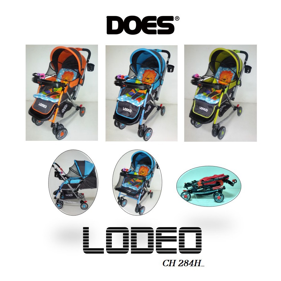 Stroller Does Lodeo