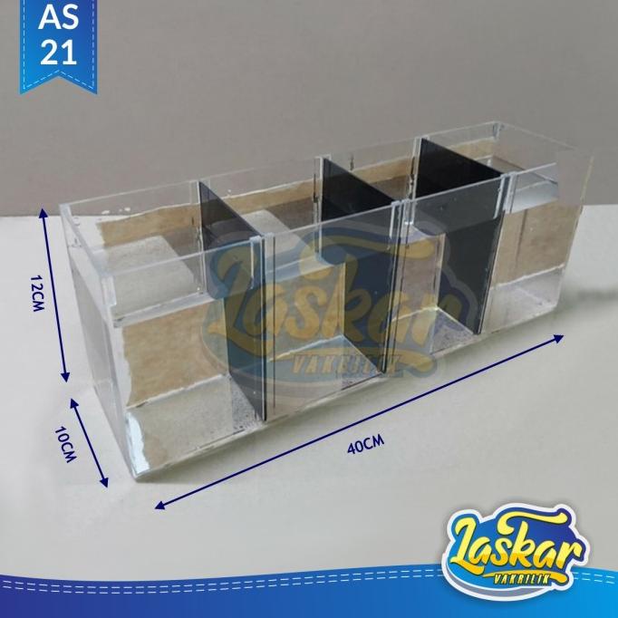 aquarium cupang akrilik