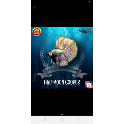 halfmoon copper