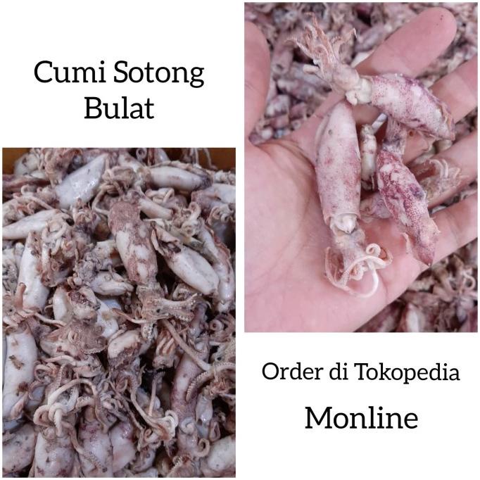 

[COD] Ikan Asin - Cumi Sotong Bulat 250 gram [COD]