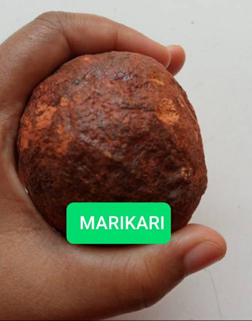 Gambir, Gamber, Getah Gambir