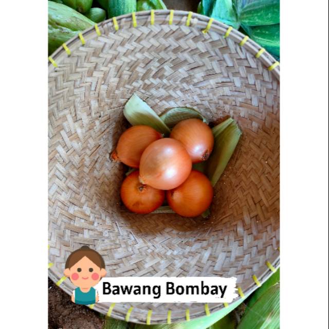 

Bawang bombay