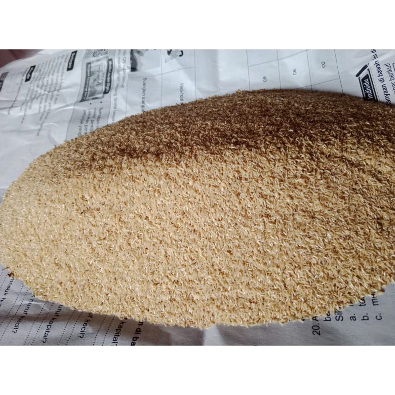 telur jangkrik alam  1kg