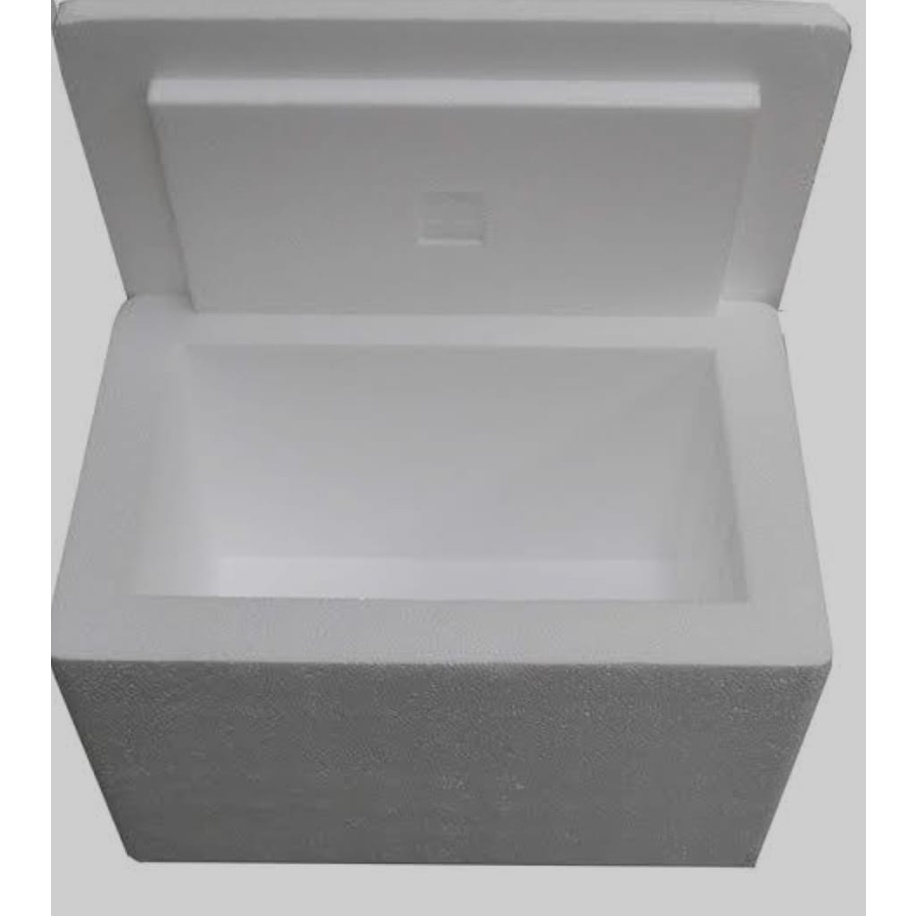 Sterofoam box frozen food