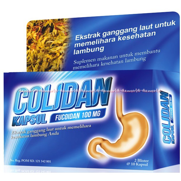 Colidan Biru Fucoidan 100mg Obat Mag Lambung Blue Isi 20Kapsul