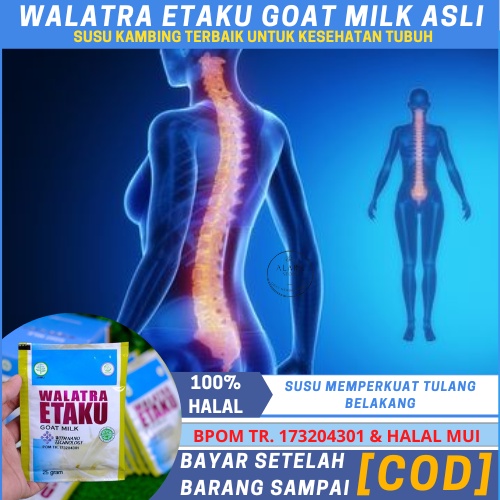 Susu Penguat Tulang Punggung, Susu Tulang Belakang, Susu Untuk Tulang Belakang,   Mencegah Pengeropo