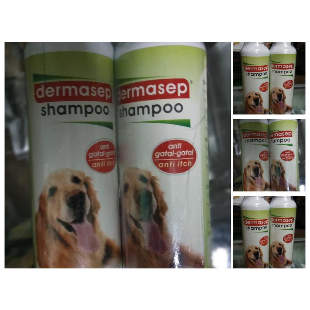 dermasep shampoo dog   shampoo anjing shampo kutu caplax anjing