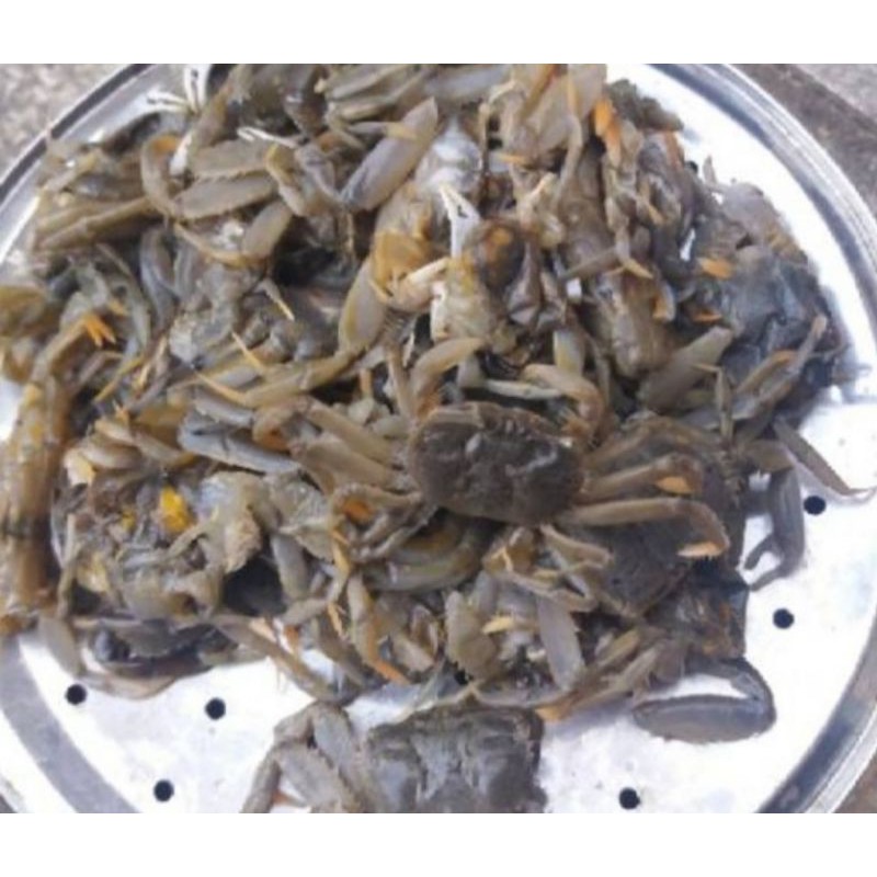 

Jangkang Pantai Lunak Fresh @500gr