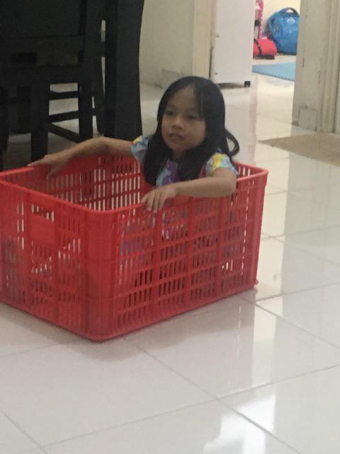 Container 2206 L Green Leaf P60.5xl41.6xt30.8cm Keranjang Industri