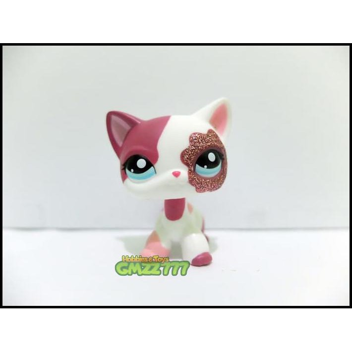 little pet shop shorthair cat