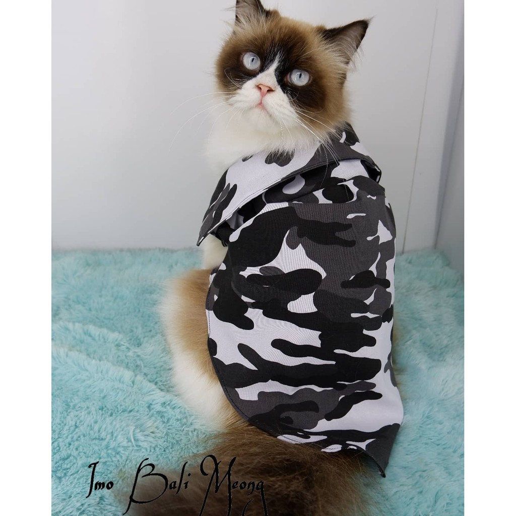 Baju kucing motif army