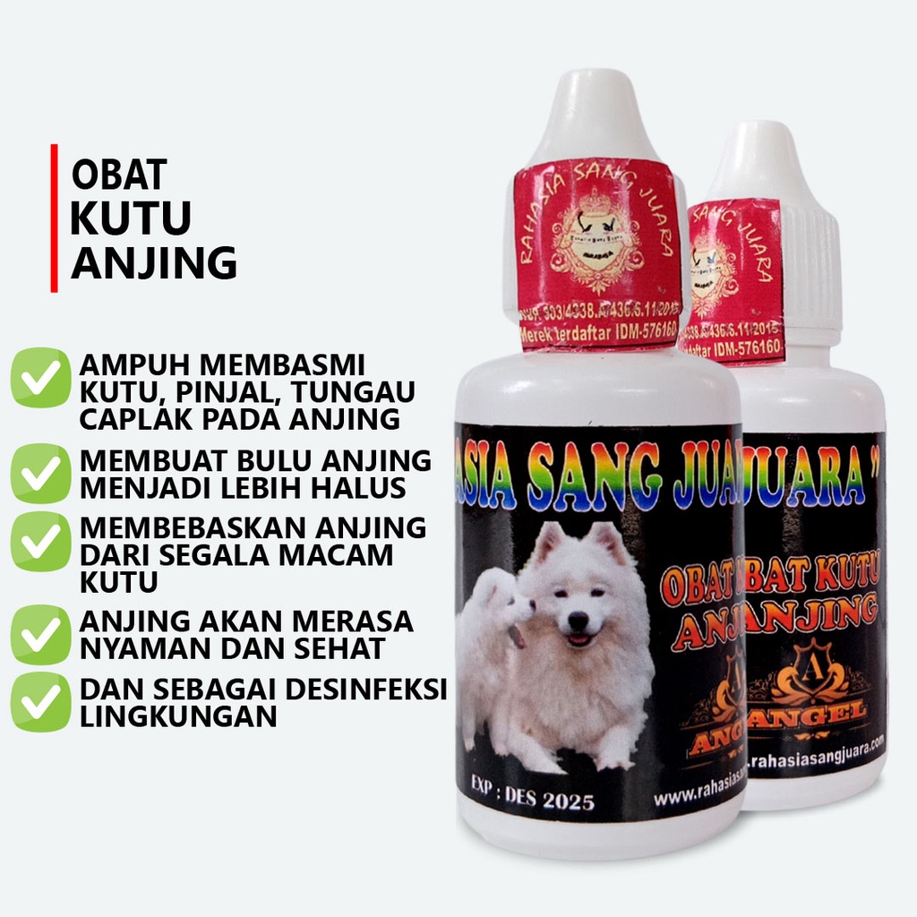 OBAT KUTU ANJING AMPUH MEMBASMI SEGALA JENIS KUTU PINJAL TUNGAU CAPLAK