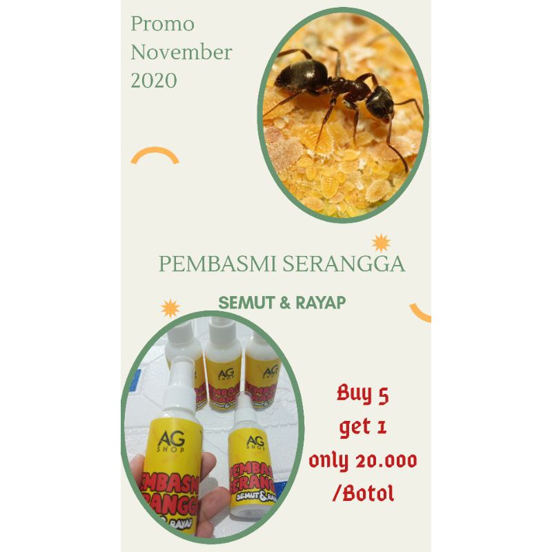 Harga Pabrik Promo November 2020 !!! Pembasmi Semut Dan Rayap !!! 0xOz3RiQGwGr3