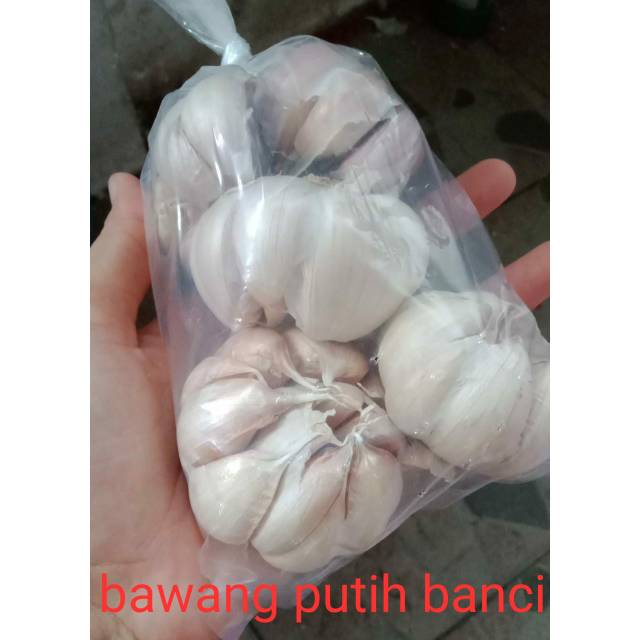 

Bawang putih banci