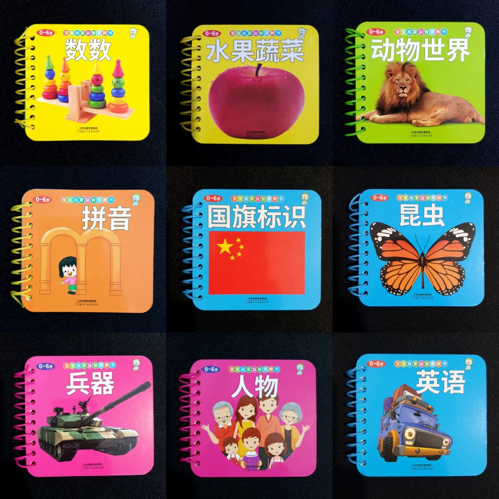 flash card belajar Anak Bahasa Inggris Mandarin Pinyin Buku Sekolah Baca Bahasa Asing