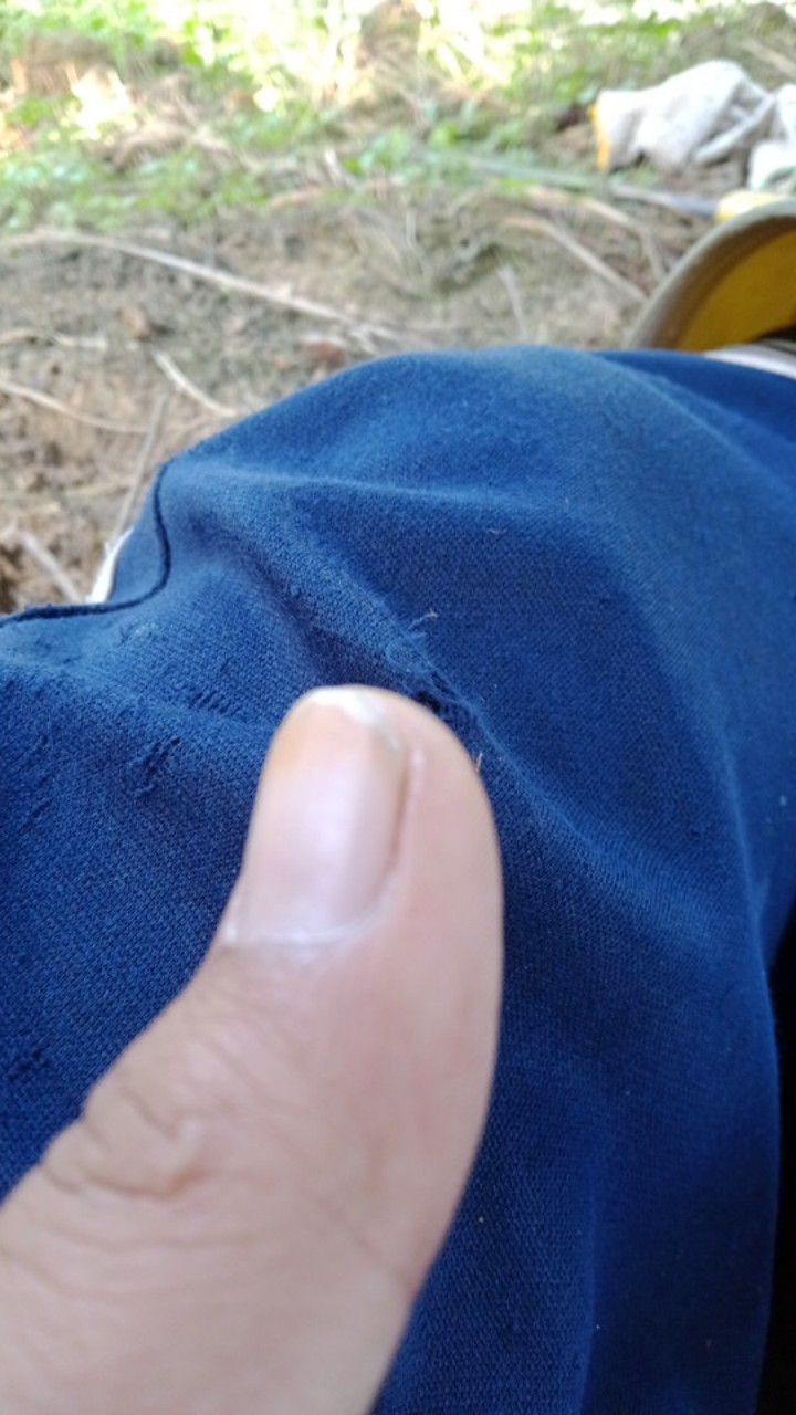 Gorden Tali Red Rose New