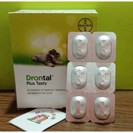 Drontal Plus Testy Dog - Obat Cacing untuk Anjing