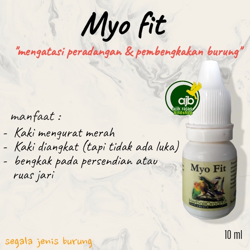 kaki burung mengurat merah kaki diangkat bengkak pada persendian MYO FIT MYOFIT