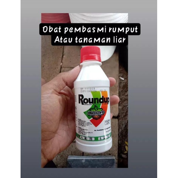 Roundup rumput
