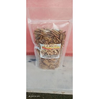 

Maggot oven Kemasan 200gram Original