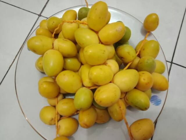 

KURMA MUDA 500GR / KURMA MUDA PROMIL / KURMA PROGRAM / KURMA MUDA KUNING