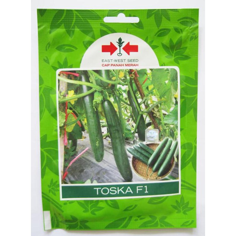 Model Terbaik Benih Timun Jepang Toska F1 Panah Merah Pack 175 Butir Terjamin