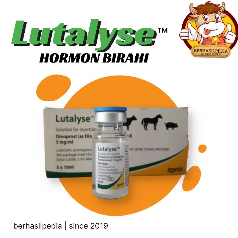 LUTALYSE PGF2ALFA | HORMON BIRAHI HEWAN TERNAK | Gertak birahi | Obat birahi ternak