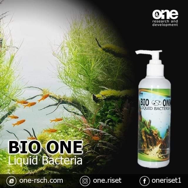 BIO ONE BioOne Bakteri Bacteria Starter Stater Liquid probiotik cair Aquascape