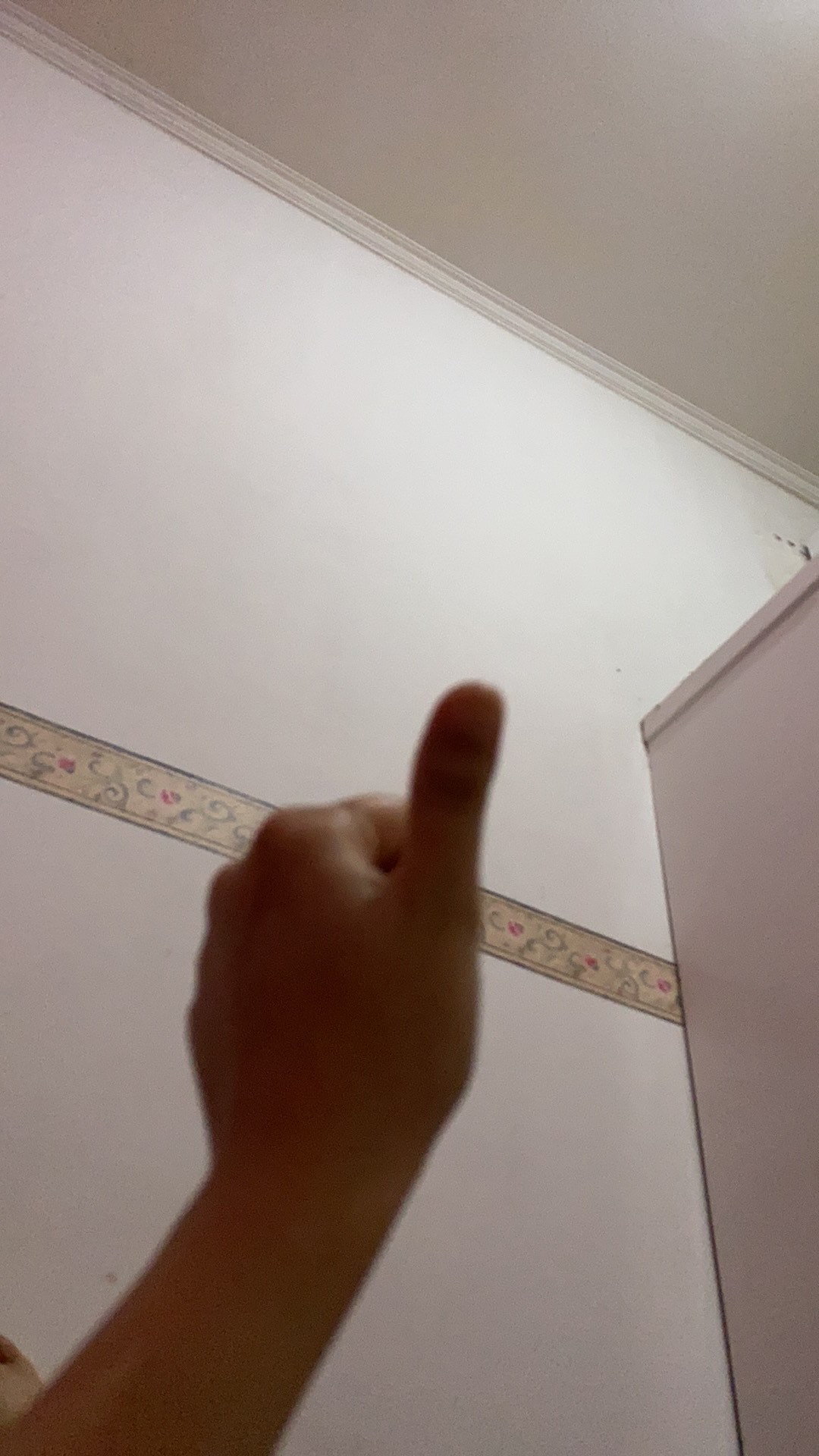 Box 4 Toples 250gram Lebaran Idul Fitri