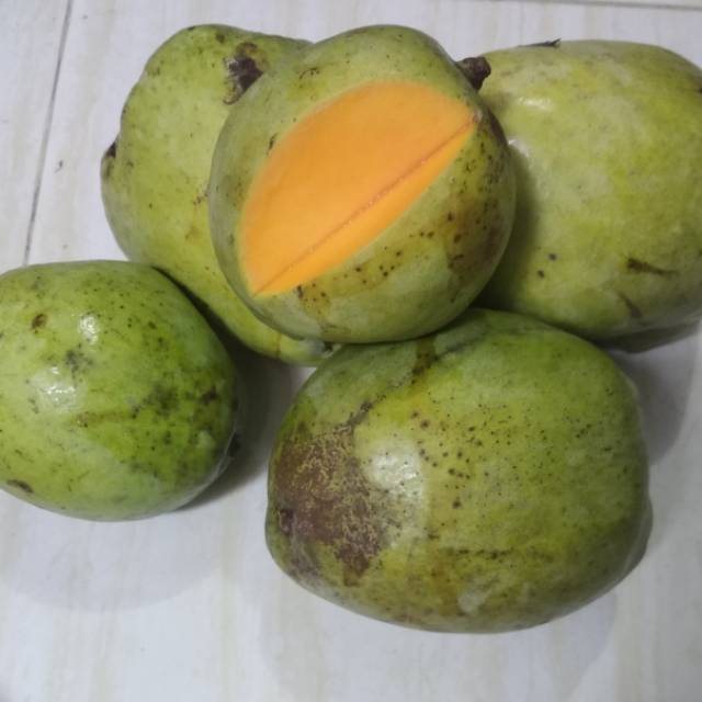 

Mangga muda indramayu 1kg