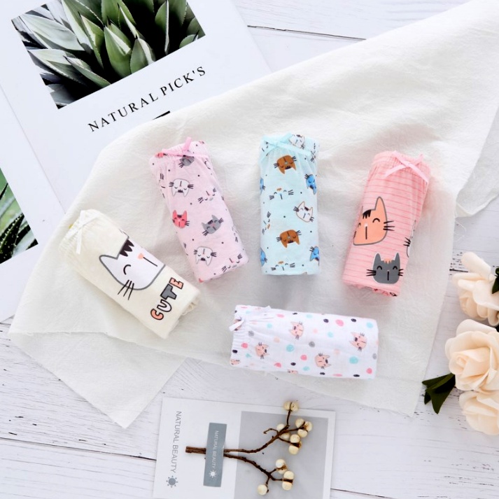 SET Celana Dalam Anak Perempuan Cat Celana Dalam Anak dengan Box Kolor Anak Perempuan Import Kucing