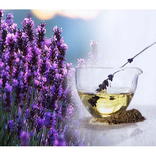 Lavender Essential Oil 100% / Minyak alami Lavender Murni (1Liter)