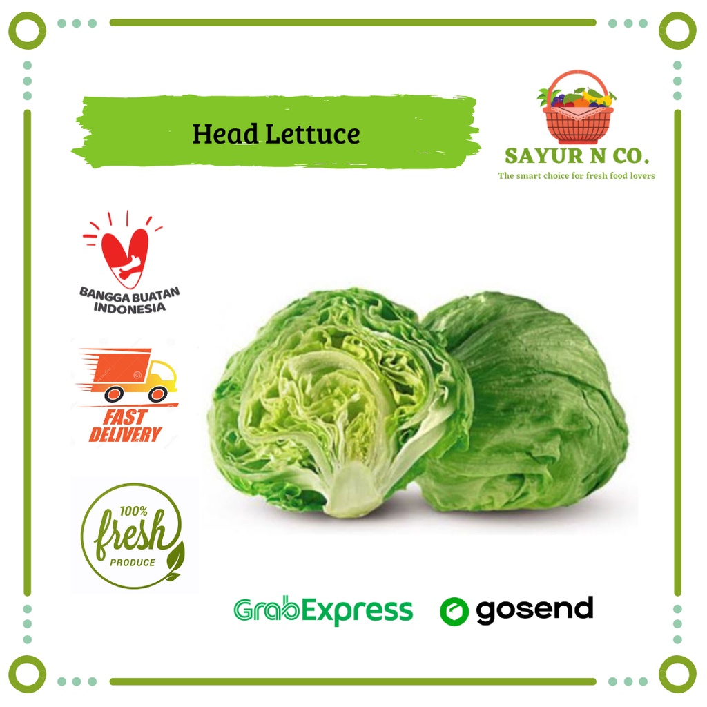 Jual Selada Iceberg Head Lettuce Sayur Lotus Iceberg Lettuce