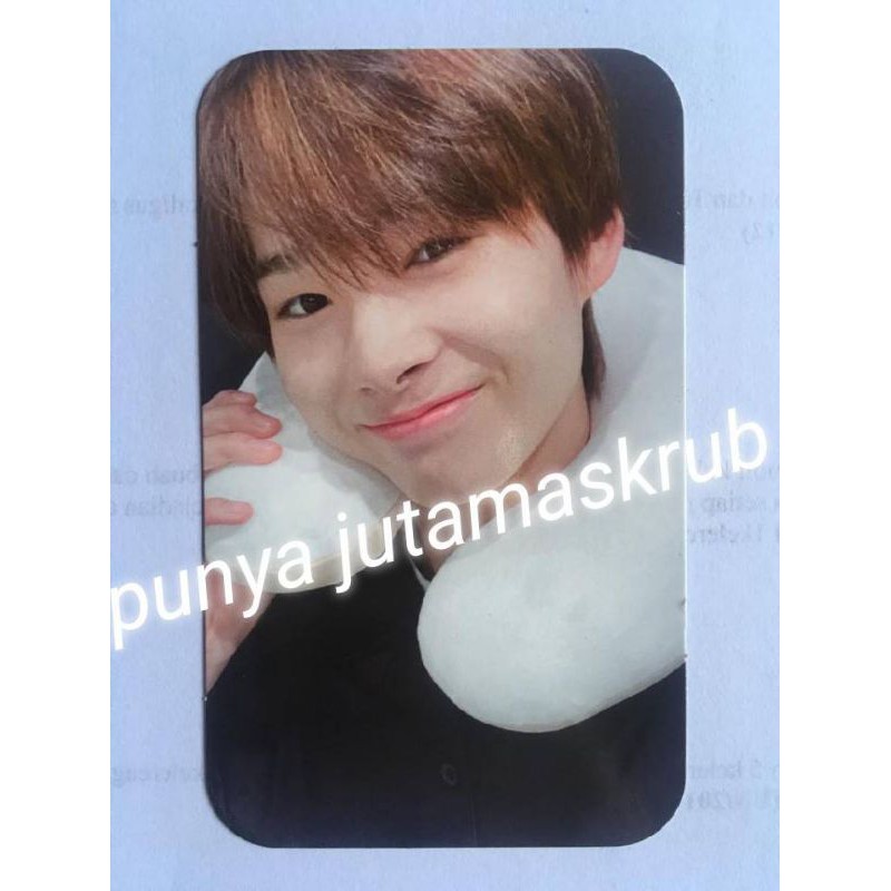 pc neck pillow ni-ki limited / pc np enhypen