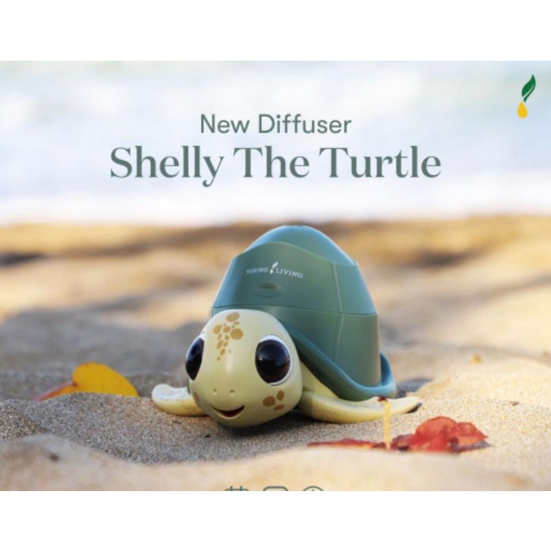 SHELLY DIFFUSER ORI YOUNG LIVING FREE 5ML GENTLE BABY